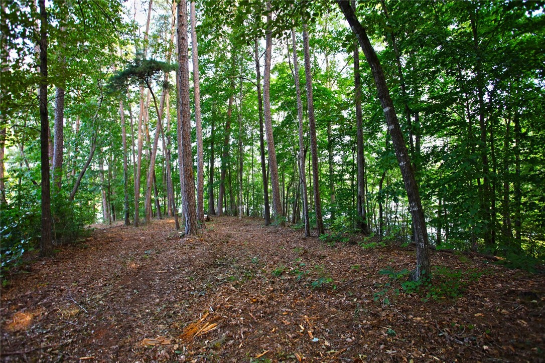 Lot 42 Retreat Pointe Road West Union, SC 29696 - Photo 22 of 38