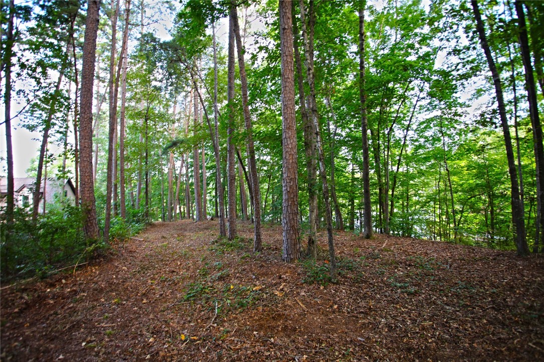 Lot 42 Retreat Pointe Road West Union, SC 29696 - Photo 23 of 38