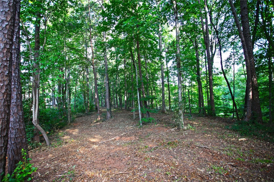 Lot 42 Retreat Pointe Road West Union, SC 29696 - Photo 24 of 38