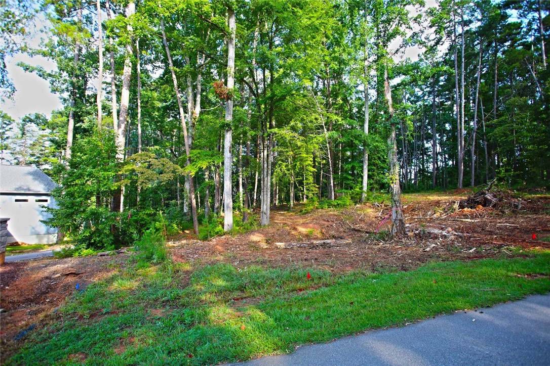 Lot 42 Retreat Pointe Road West Union, SC 29696 - Photo 25 of 38