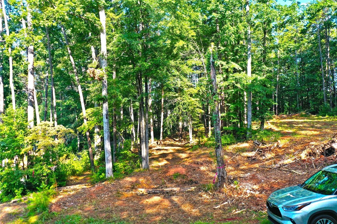 Lot 42 Retreat Pointe Road West Union, SC 29696 - Photo 27 of 38