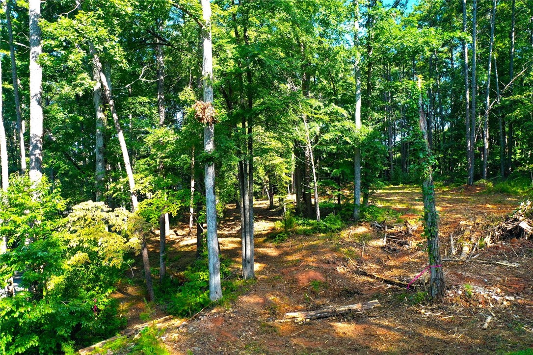 Lot 42 Retreat Pointe Road West Union, SC 29696 - Photo 28 of 38