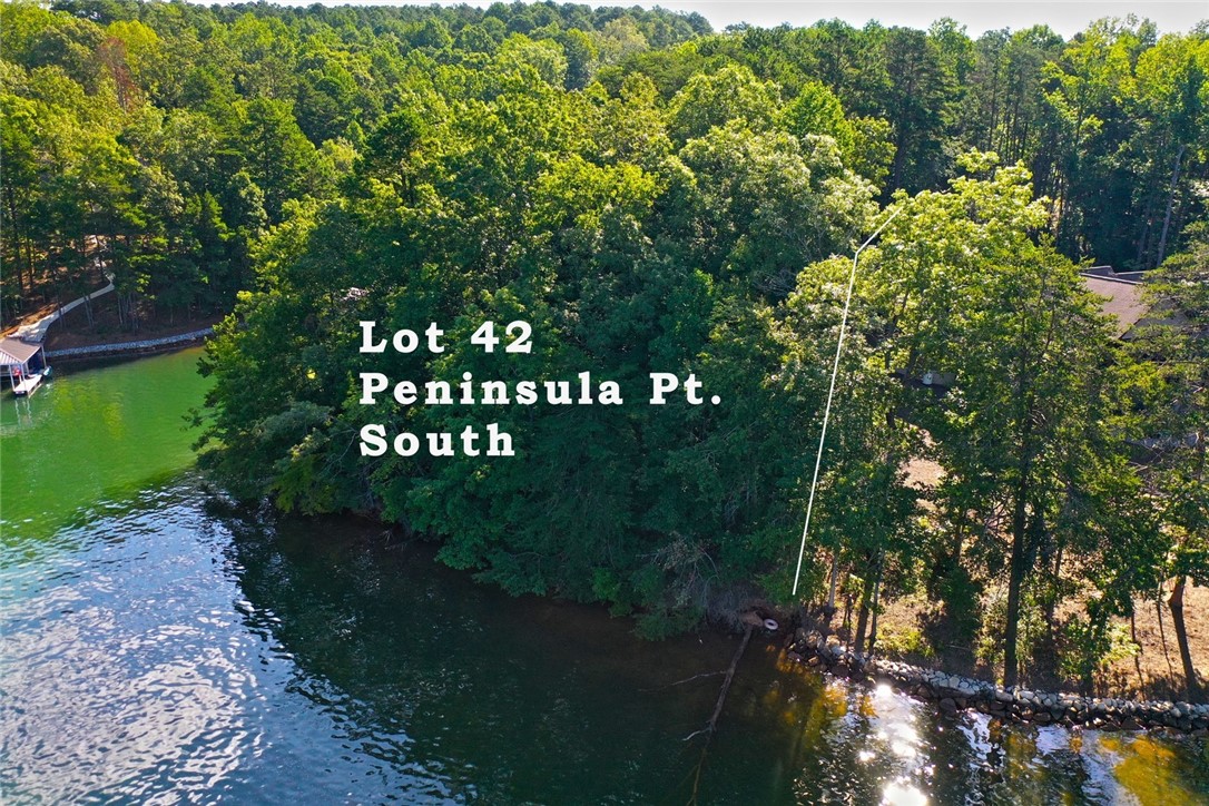 Lot 42 Retreat Pointe Road West Union, SC 29696 - Photo 5 of 38