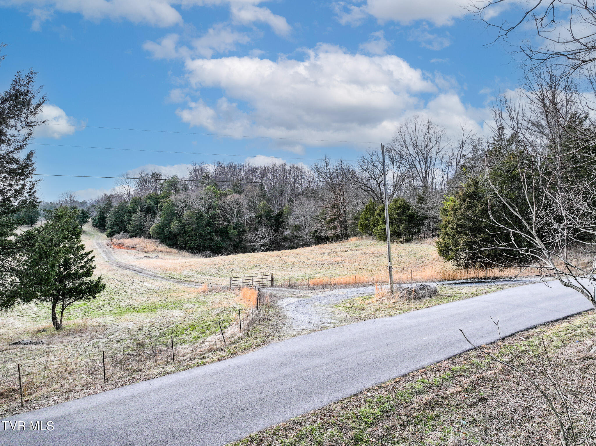 Tbd Pitt Loop Chuckey, TN 37641 - Photo 11 of 12 DJI_20260224155316_0049_D-Edit
