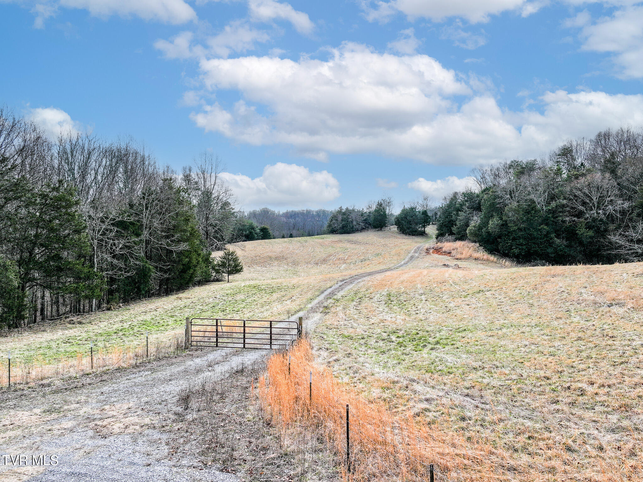 Tbd Pitt Loop Chuckey, TN 37641 - Photo 12 of 12 DJI_20260224155215_0046_D-Edit