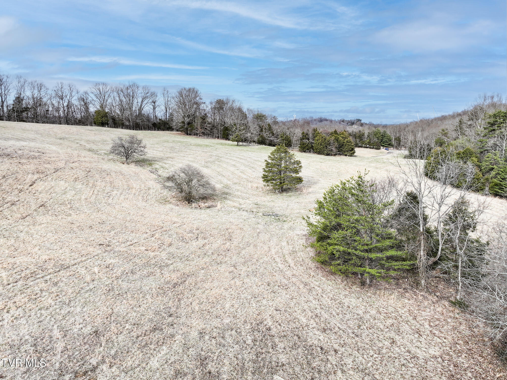 Tbd Pitt Loop Chuckey, TN 37641 - Photo 3 of 12 DJI_20260224160802_0084_D-Edit