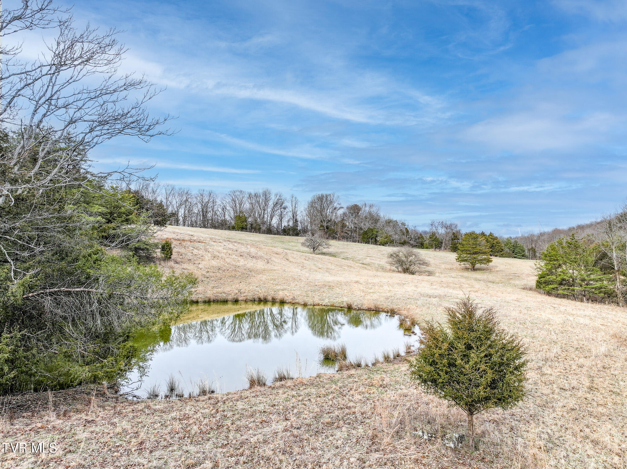 Tbd Pitt Loop Chuckey, TN 37641 - Photo 4 of 12 DJI_20260224160733_0083_D-Edit