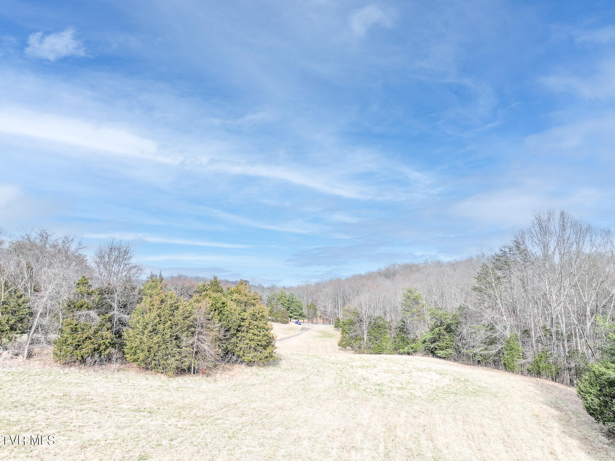 Tbd Pitt Loop Chuckey, TN 37641 - Photo 5 of 12 DJI_20260224160520_0076_D-Edit