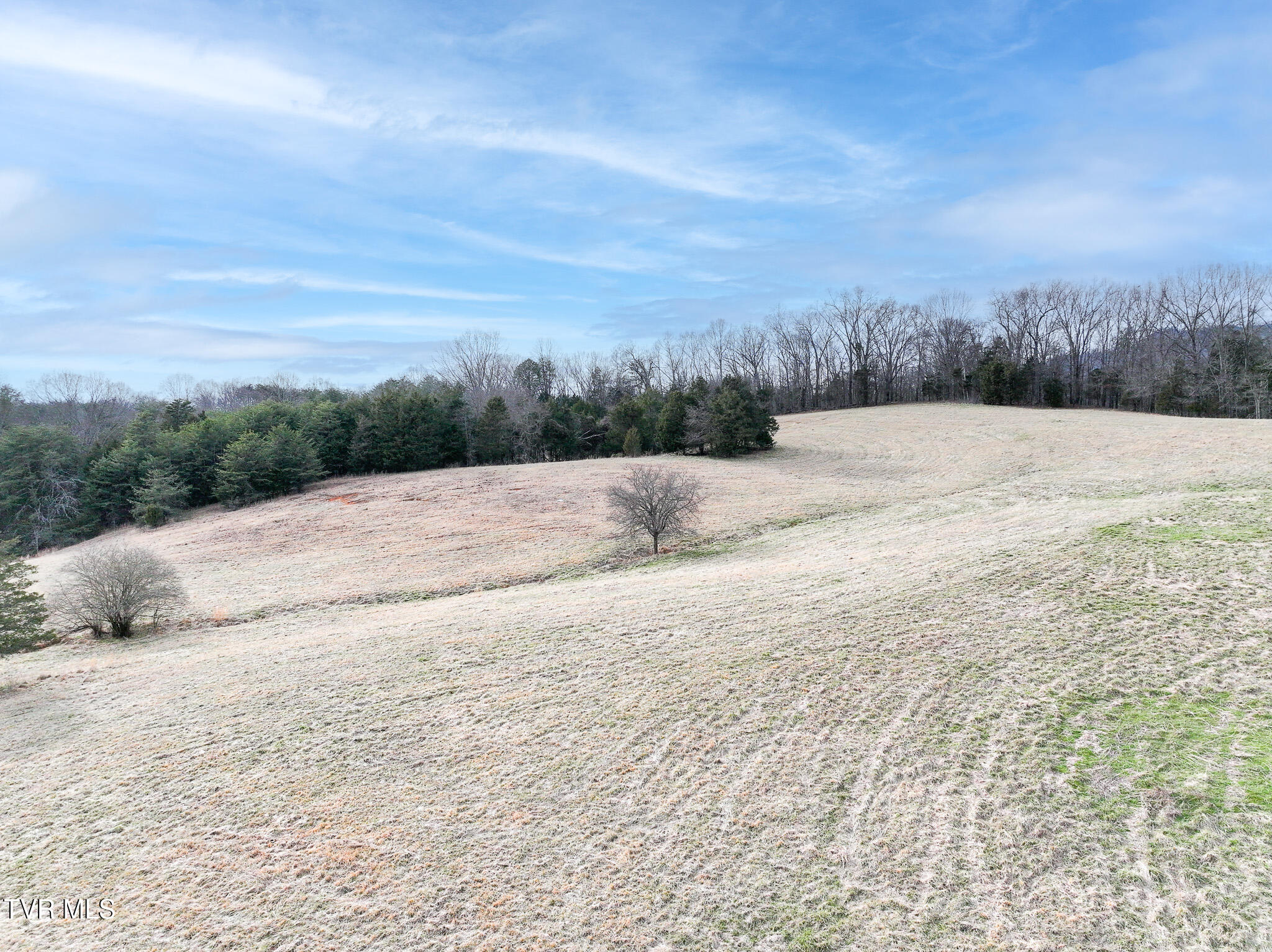 Tbd Pitt Loop Chuckey, TN 37641 - Photo 6 of 12 DJI_20260224160503_0074_D-Edit