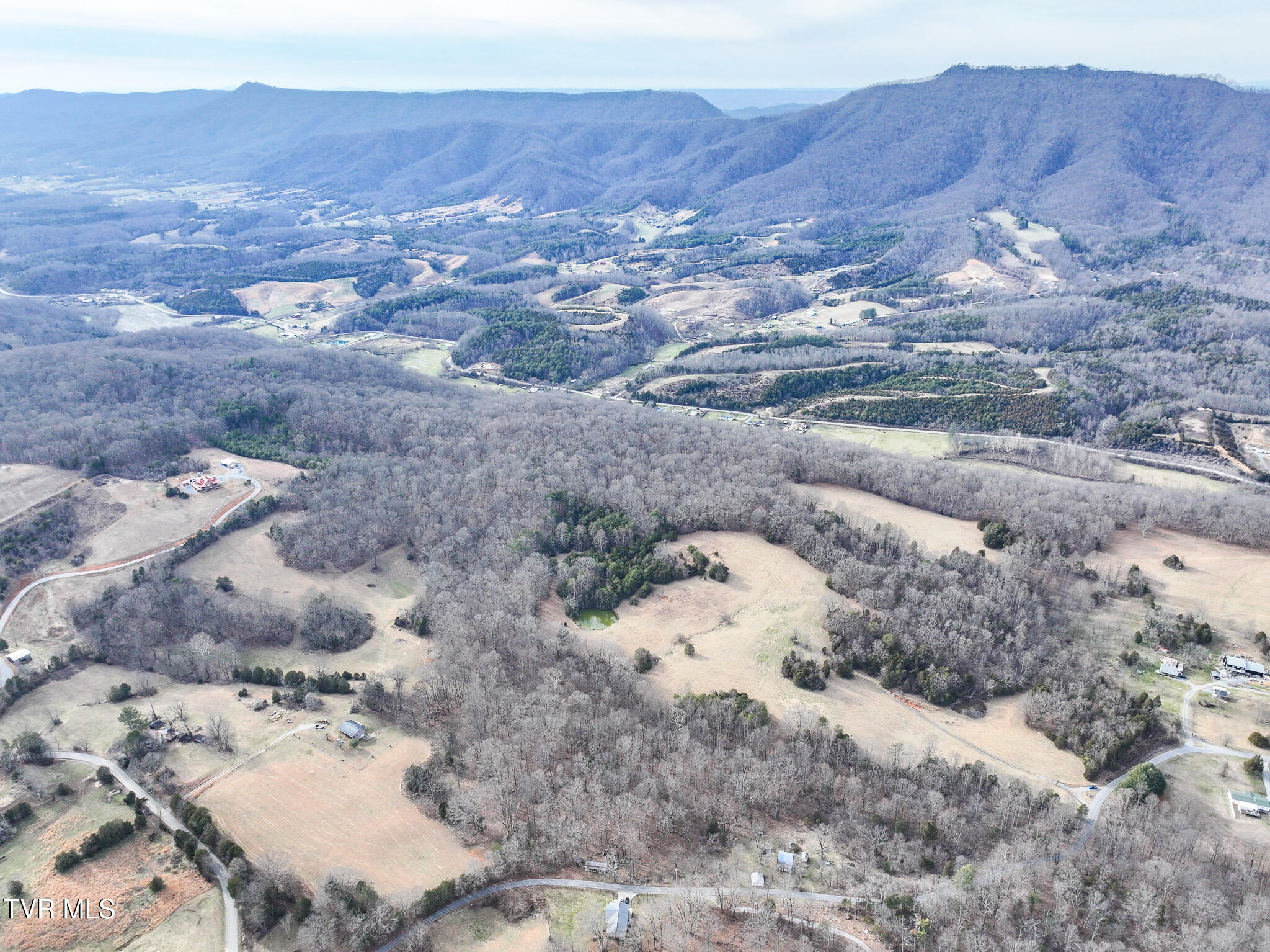 Tbd Pitt Loop Chuckey, TN 37641 - Photo 8 of 12 DJI_20260224155900_0061_D