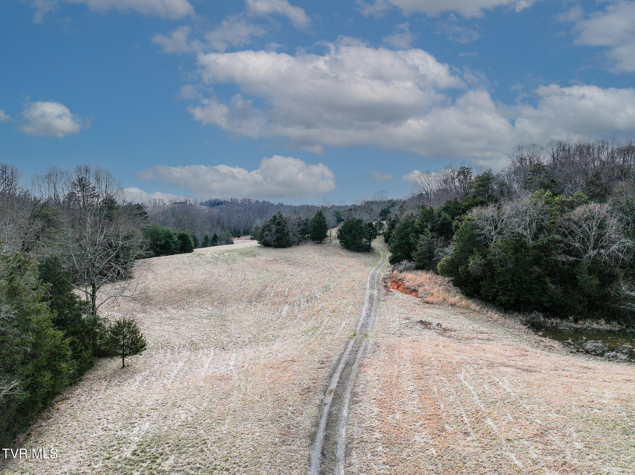 Tbd Pitt Loop Chuckey, TN 37641 - Photo 10 of 12 DJI_20260224155353_0052_D-Edit