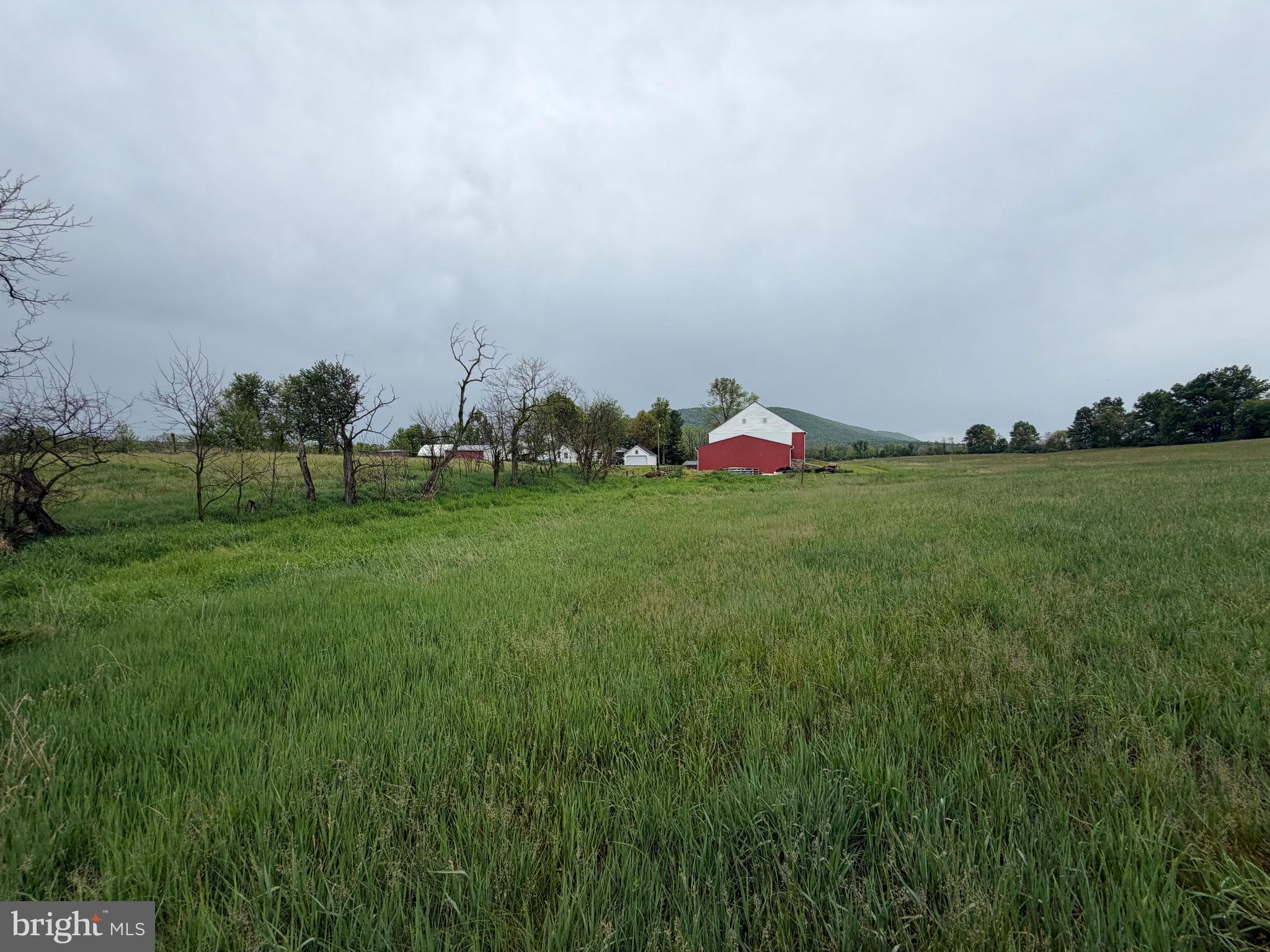 12591 Shimpstown Road Mercersburg, PA 17236 - Photo 64 of 147