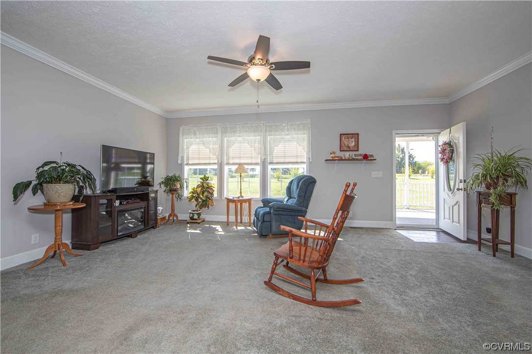 617 Mohawk Road Buckingham, VA 23921 - Photo 11 of 26 a view of a livingroom with furniture and a window