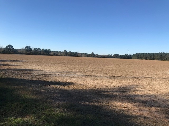 0 Bon Secour Highway Bon Secour, AL 36511 - Photo 4 of 7