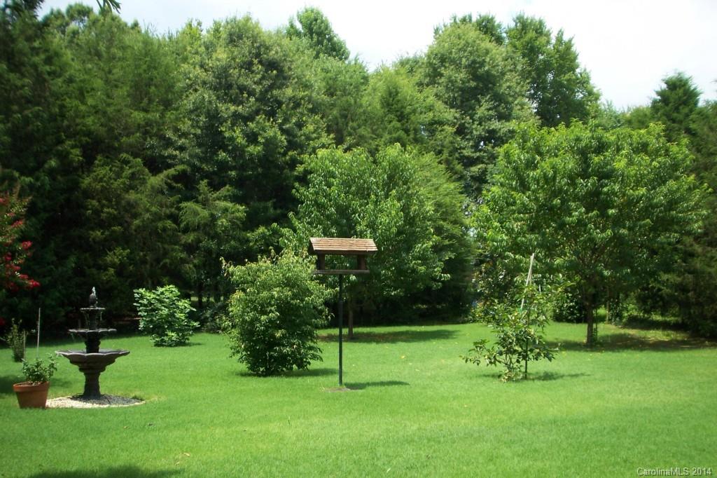 914 Haddonfield Drive, Unit 10 Fort Mill, SC 29708 - Photo 6 of 24 a view of a park with a tree