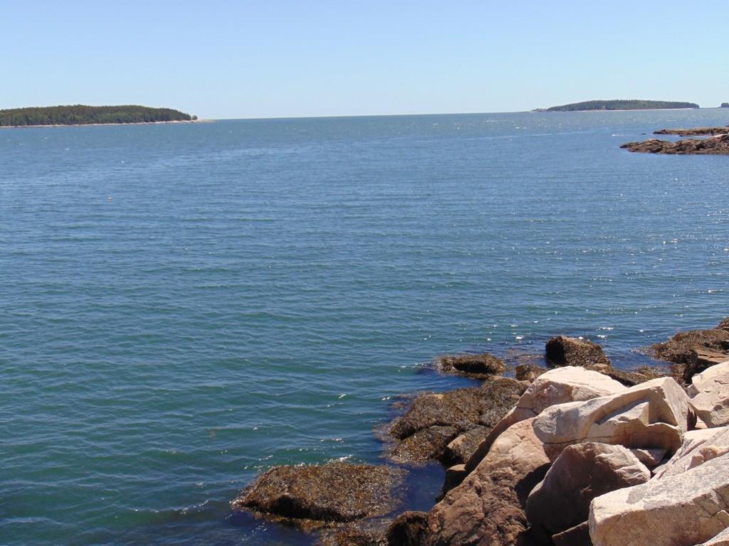 29 Granite Shore Milbridge, ME 04658 - Photo 31 of 35 If you look waaaaaaay out there, I...