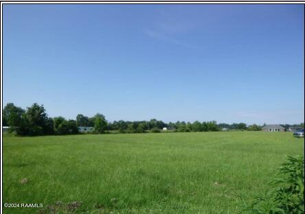 0 Doyle Melancon Road Breaux Bridge, LA 70517 - Photo 5 of 6 Screenshot 2024-07-16 153747