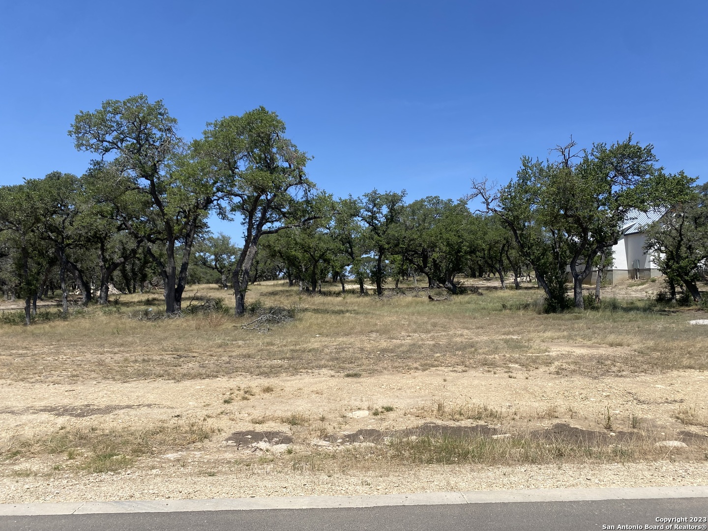 a view of a yard with a tree