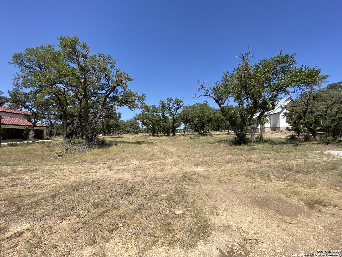 930 Maximino Ridge Rd. Bulverde, TX 78163 - Photo 5 of 18 a view of yard with tree