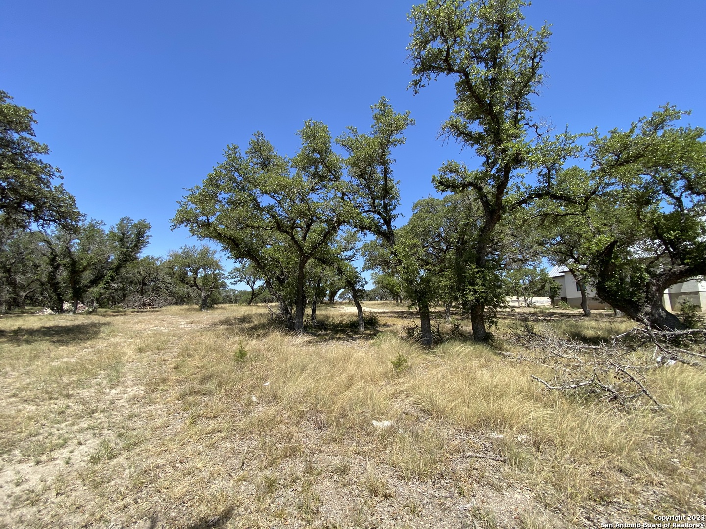 930 Maximino Ridge Rd. Bulverde, TX 78163 - Photo 7 of 18 a view of a yard with a tree