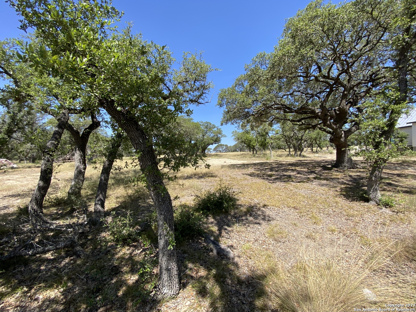 930 Maximino Ridge Rd. Bulverde, TX 78163 - Photo 8 of 18 a view of dirt yard with a large tree