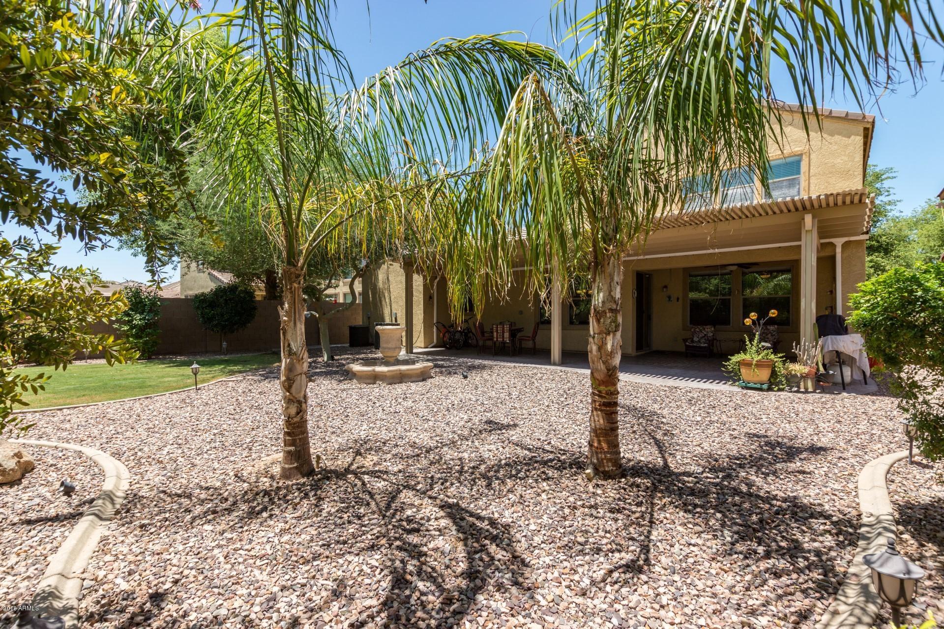 3875 East Phelps Street Gilbert, AZ 85295 - Photo 22 of 24 Backyard view 1
