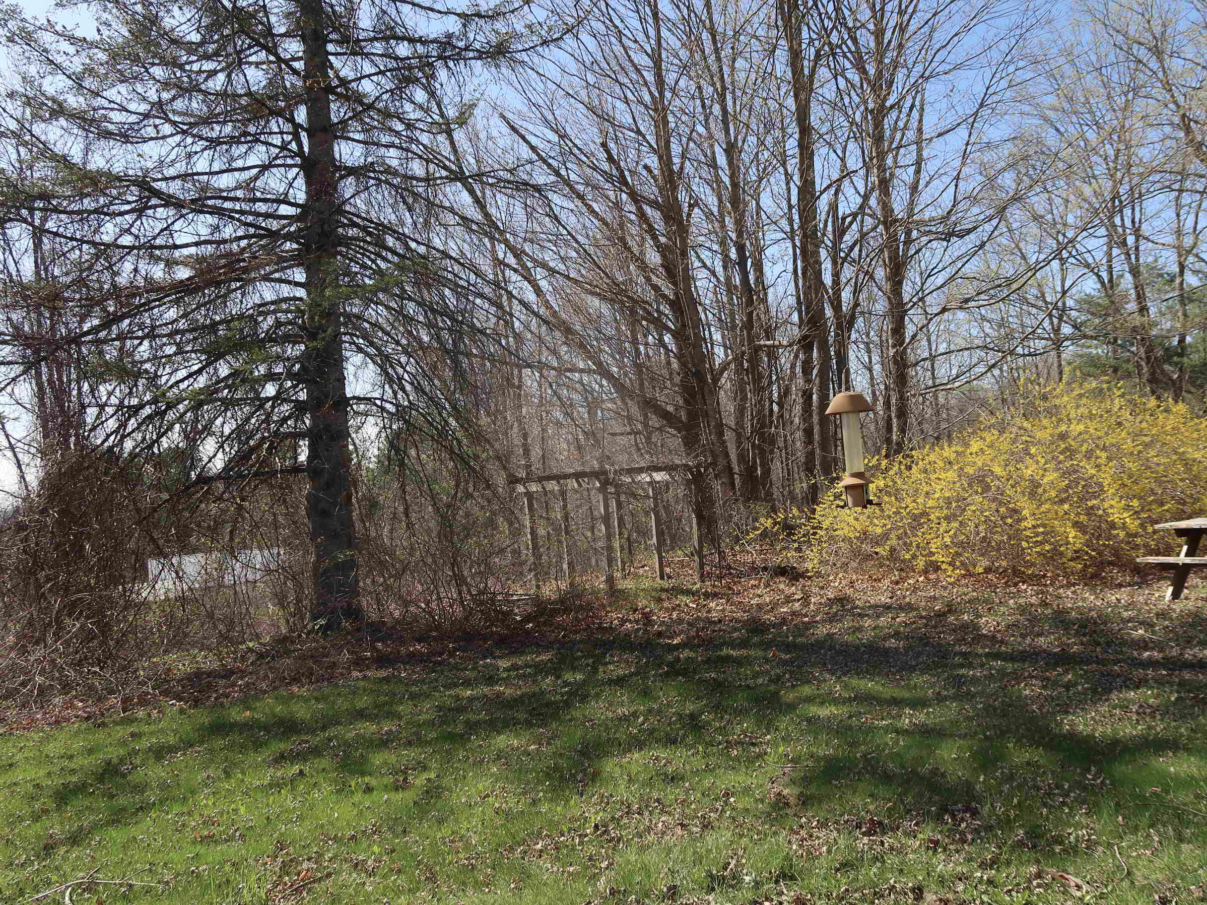 133 Bamford Hill Road Fayette, ME 04349 - Photo 44 of 62 2-IMG_4280