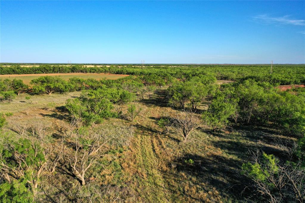 Tbd Kimbrough Road Haskell, TX 79521 - Photo 16 of 21