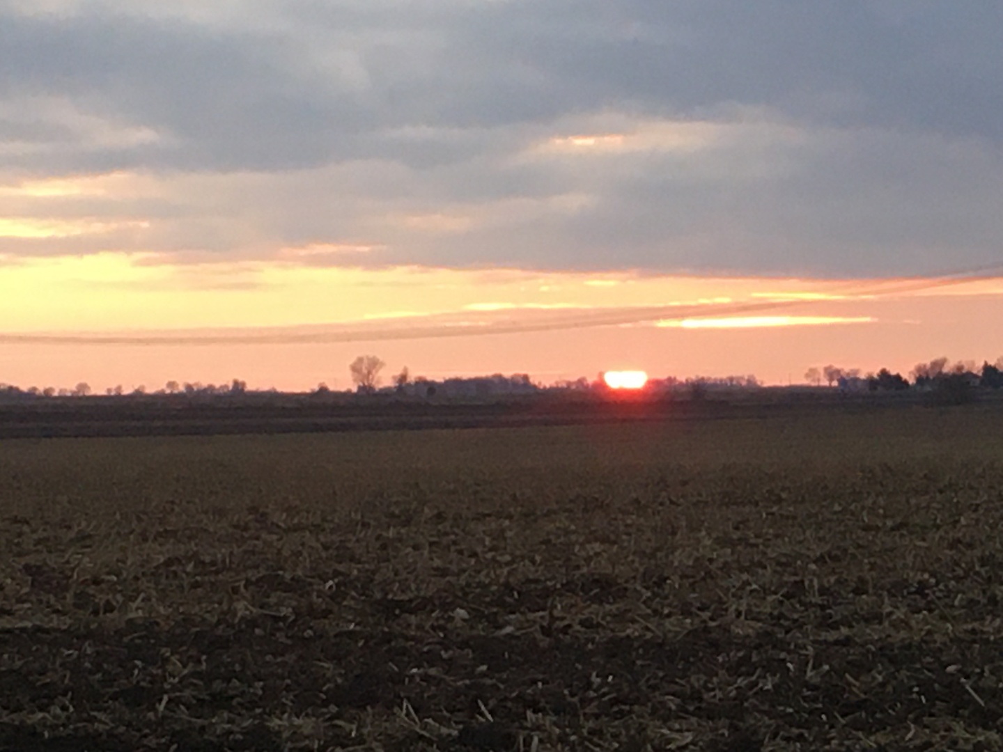 15771 Brisbin Road Minooka, IL 60447 - Photo 2 of 2