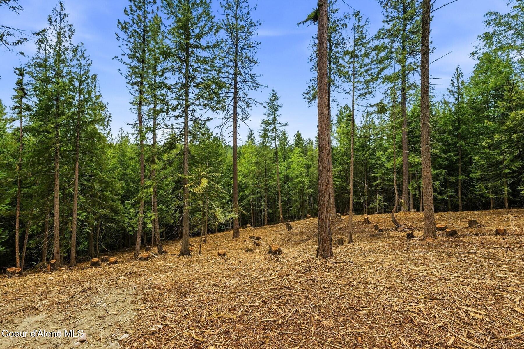 Nna Cedar Ridge Road Sandpoint, ID 83864 - Photo 17 of 30 16