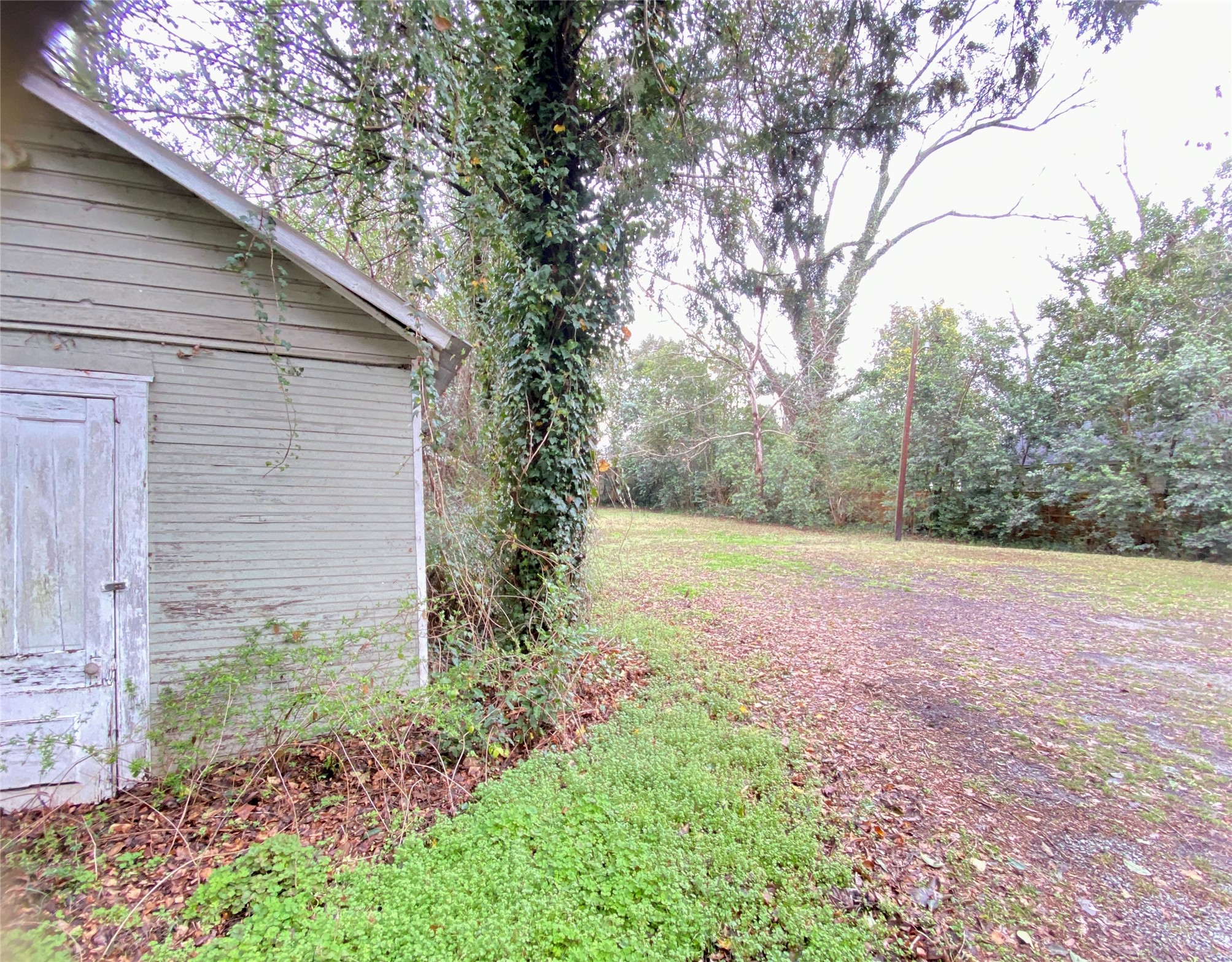223 East Robert Toombs Avenue Washington, GA 30673 - Photo 44 of 46 a backyard of a house with lots of green space