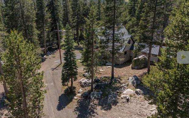 21131 Donner Pass Road Soda Springs, CA 95728 - Photo 4 of 6 a view of a forest with a tree