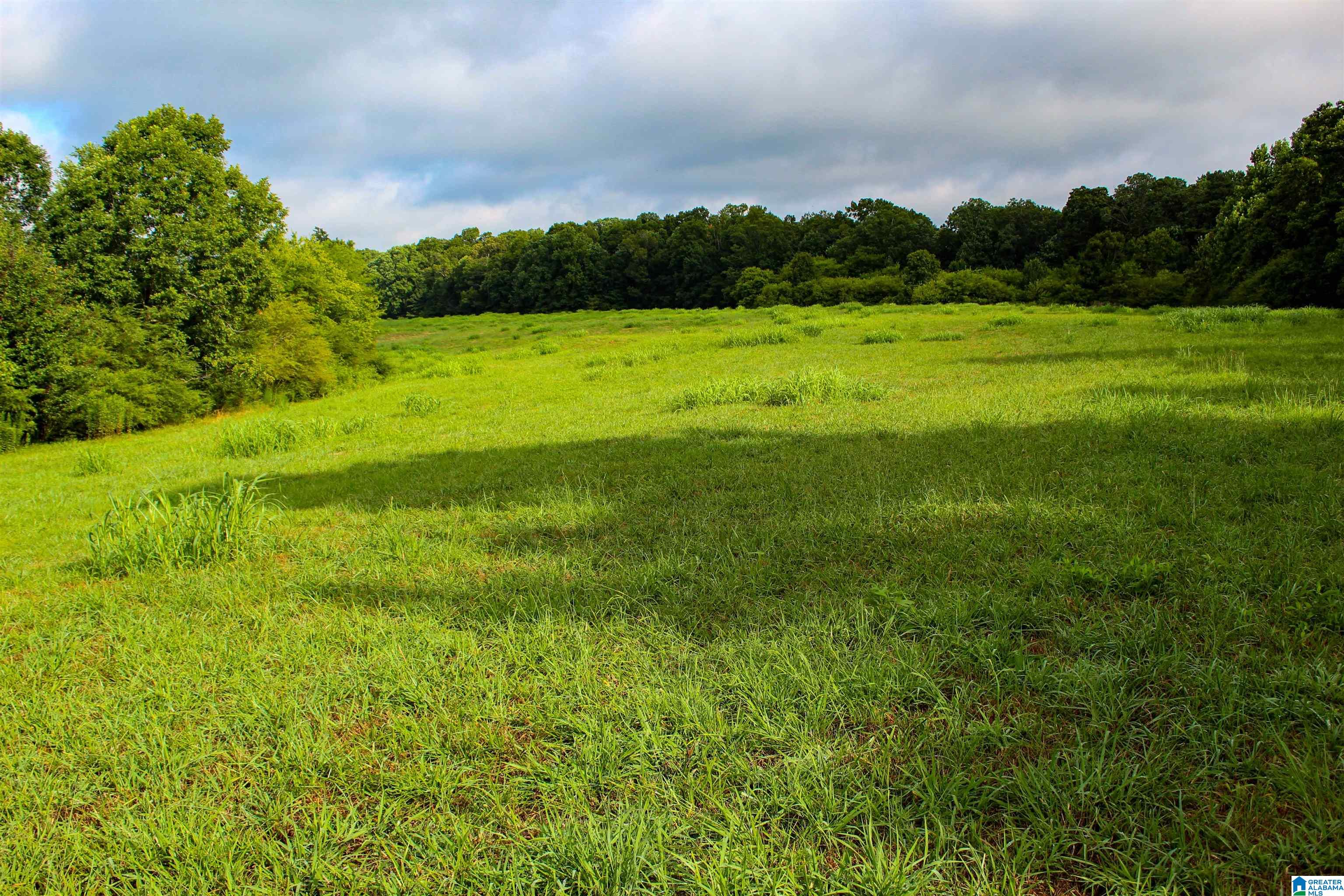3597 Sardis-Airport Road Addison, AL 35540 - Photo 58 of 65