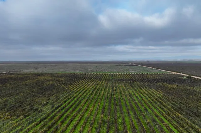 $31,048,580 | 22322 Road 28 1/2, Madera, CA 93638