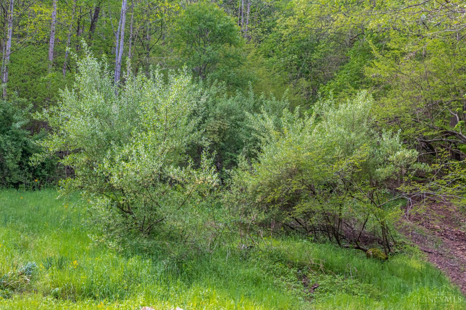 2432 Johnson Run Road Stout, OH 45684 - Photo 11 of 57 Gallery Image 11