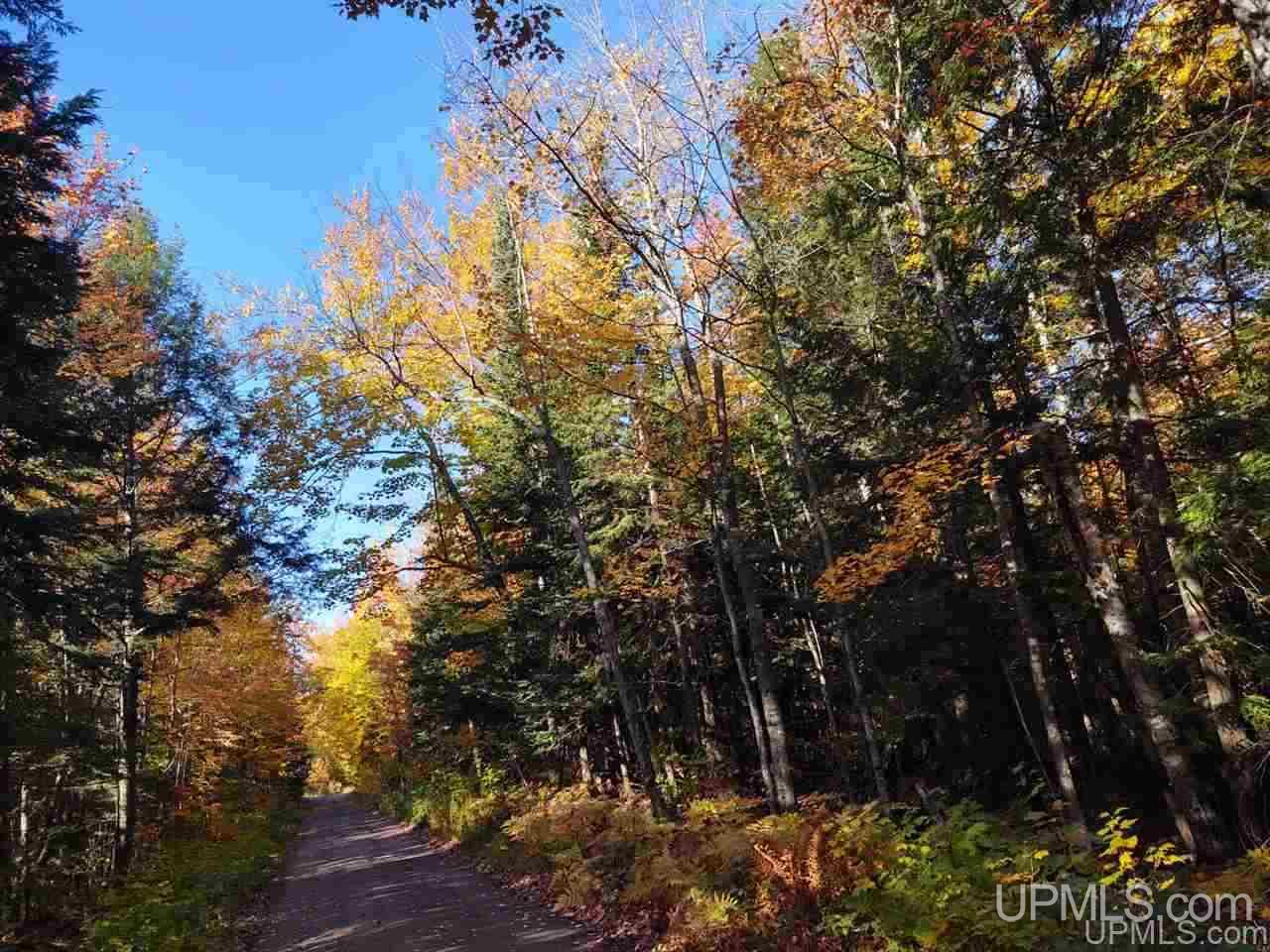 Tbd Four Mile Rock Road Ontonagon, MI 49953 - Photo 8 of 8