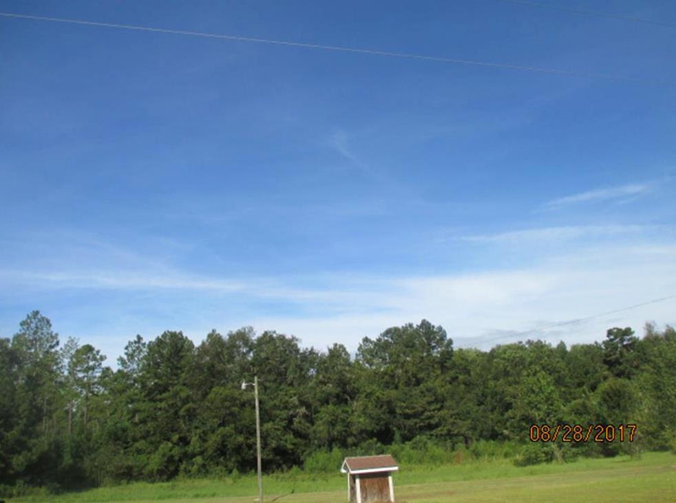 10.443 Acres Renfroe Road Quitman, GA 31643 - Photo 1 of 1 Main View