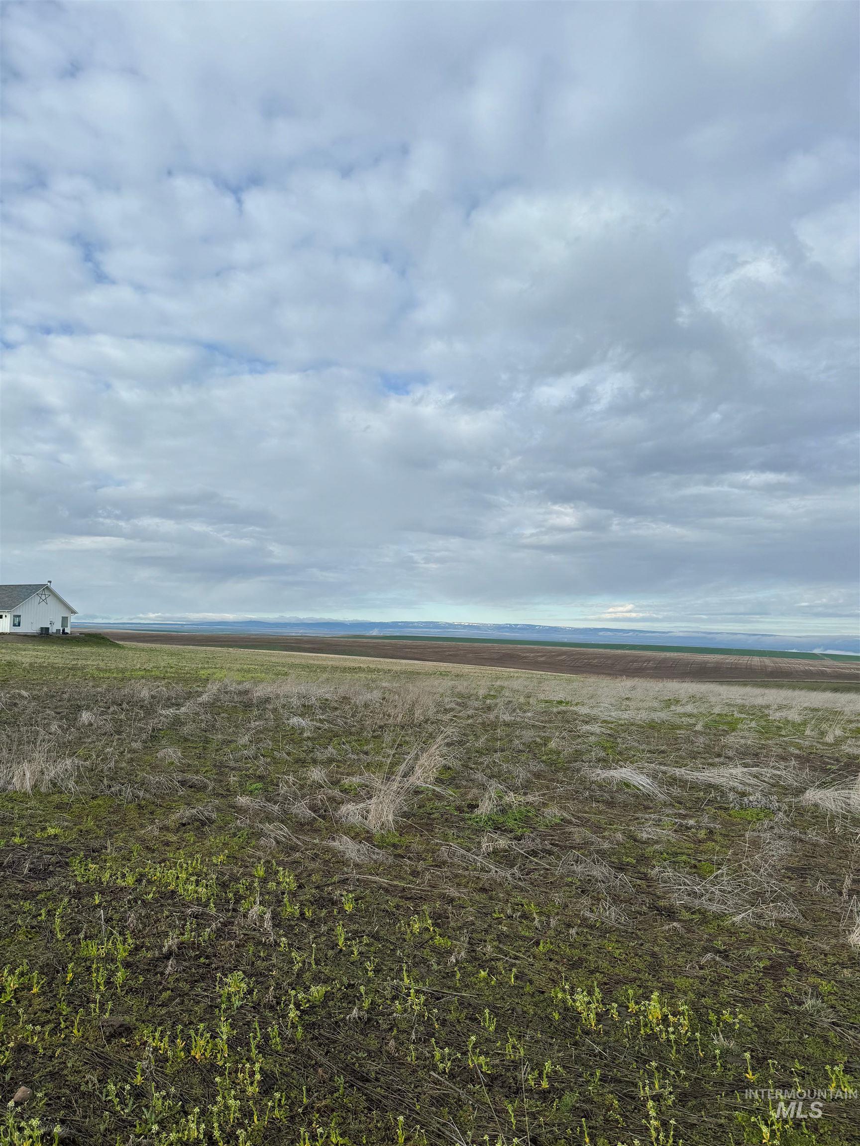 Lot 11-a Tbd Pheasant Loop Road Lewiston, ID 83501 - Photo 3 of 3 View of yard featuring a view of rural / pastoral area
