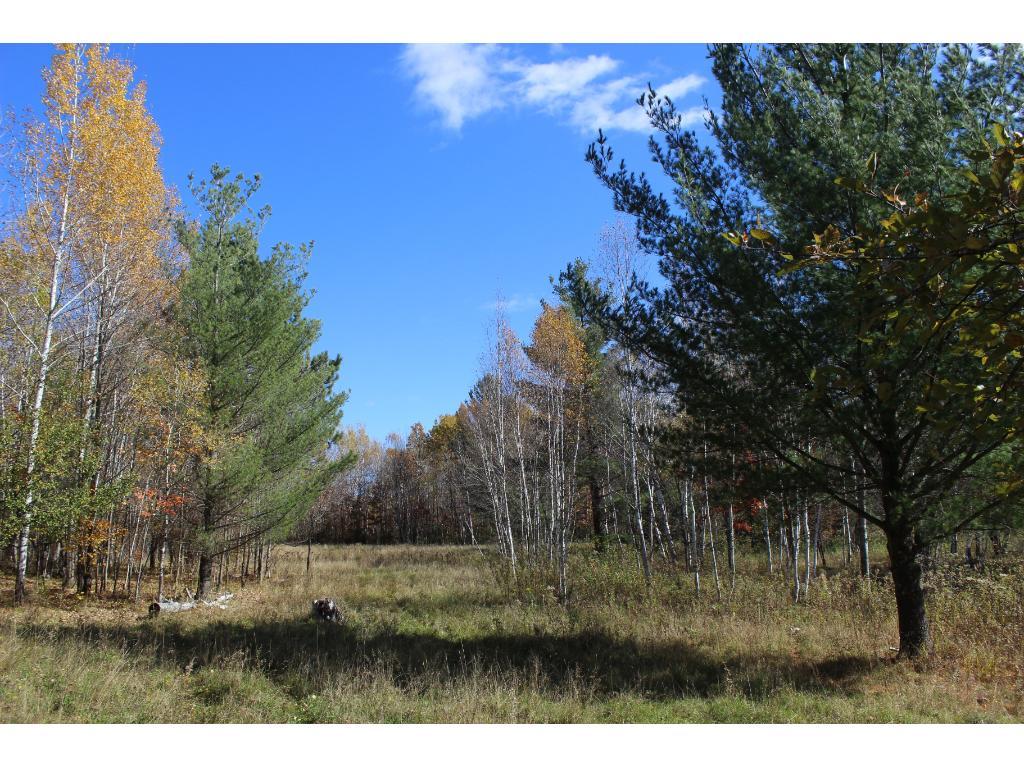 Xxx Xxx Valley Farm Road Askov, MN 55704 - Photo 1 of 1 Gallery Image 1