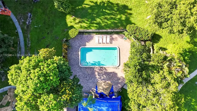 a view of a flower in a garden