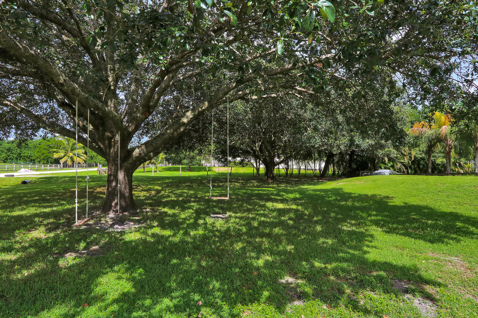 17839 33rd Road North Loxahatchee, FL 33470 - Photo 26 of 30 Oak Trees