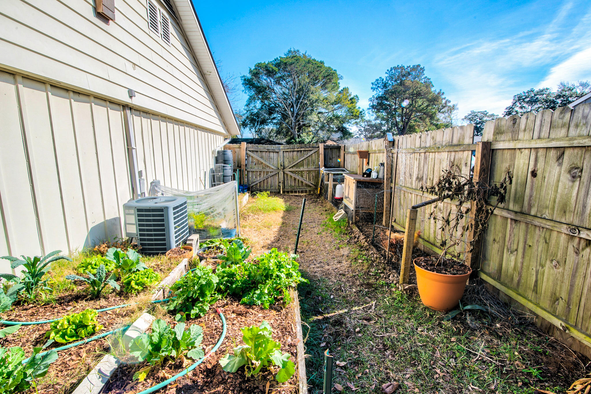 1049 Valley Road Charleston, SC 29412 - Photo 21 of 29 1049 Valley-25