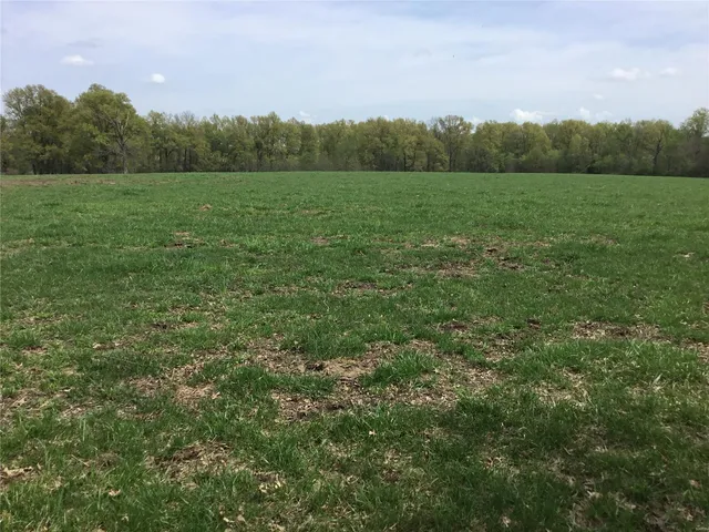 $1,350,000 | 75 Cc Highway, Wellsville, MO 63384