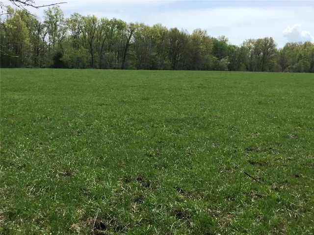 $1,350,000 | 75 Cc Highway, Wellsville, MO 63384