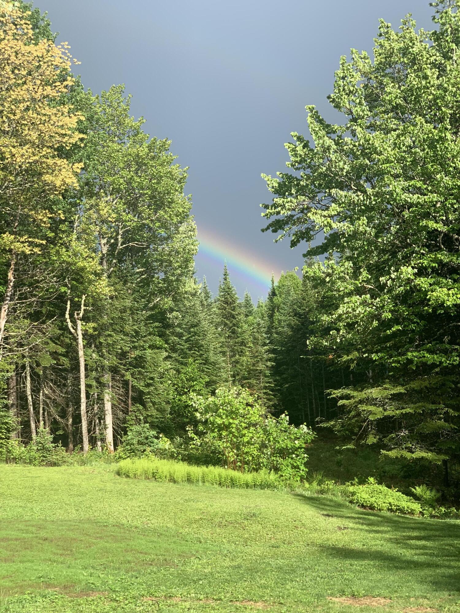 62 Antler Way Rangeley, ME 04970 - Photo 8 of 46 IMG_7478
