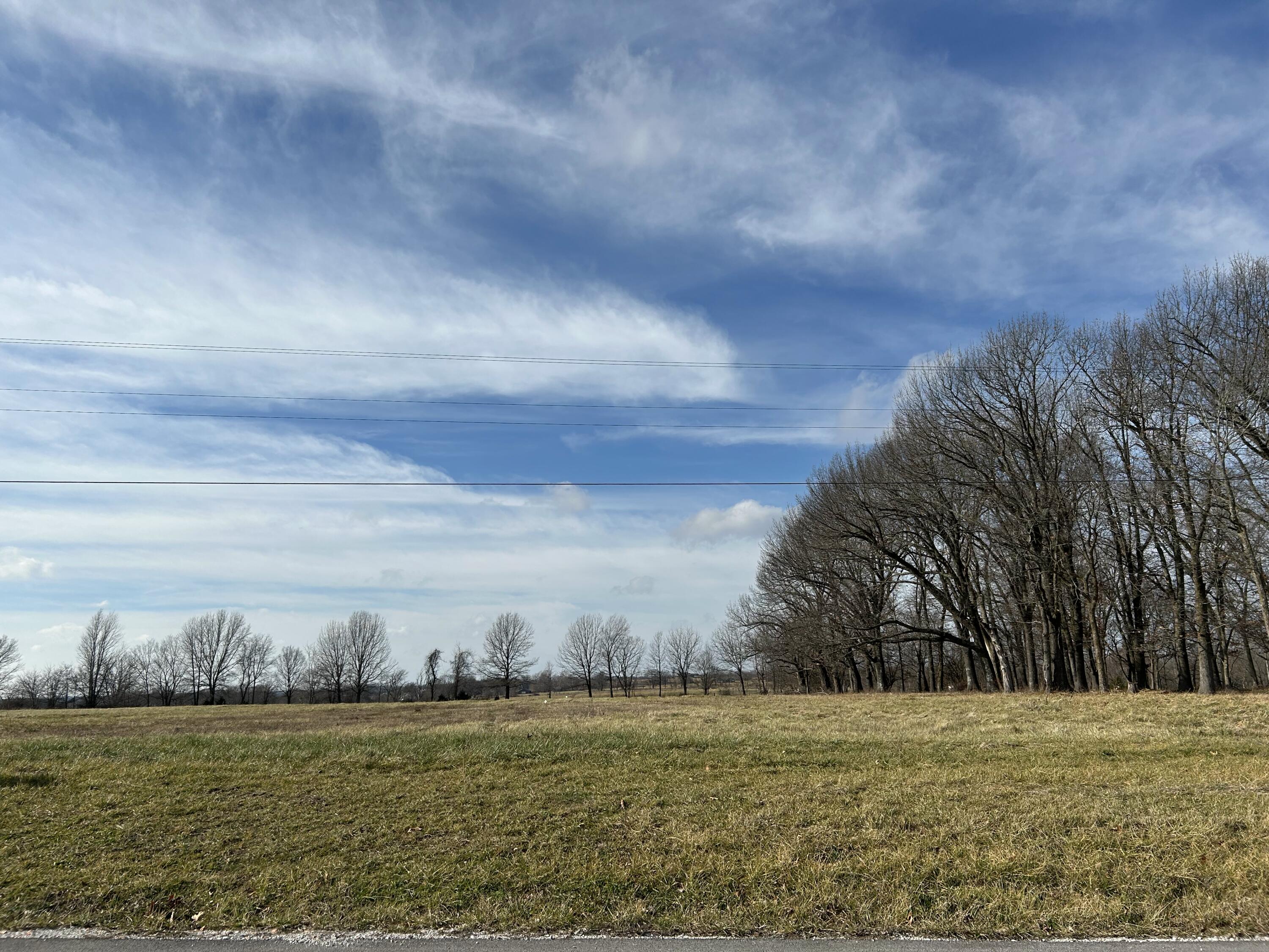 Lot 7 Double Springs Road Republic, MO 65738 - Photo 1 of 1 Amazing 4.32 acre lot.