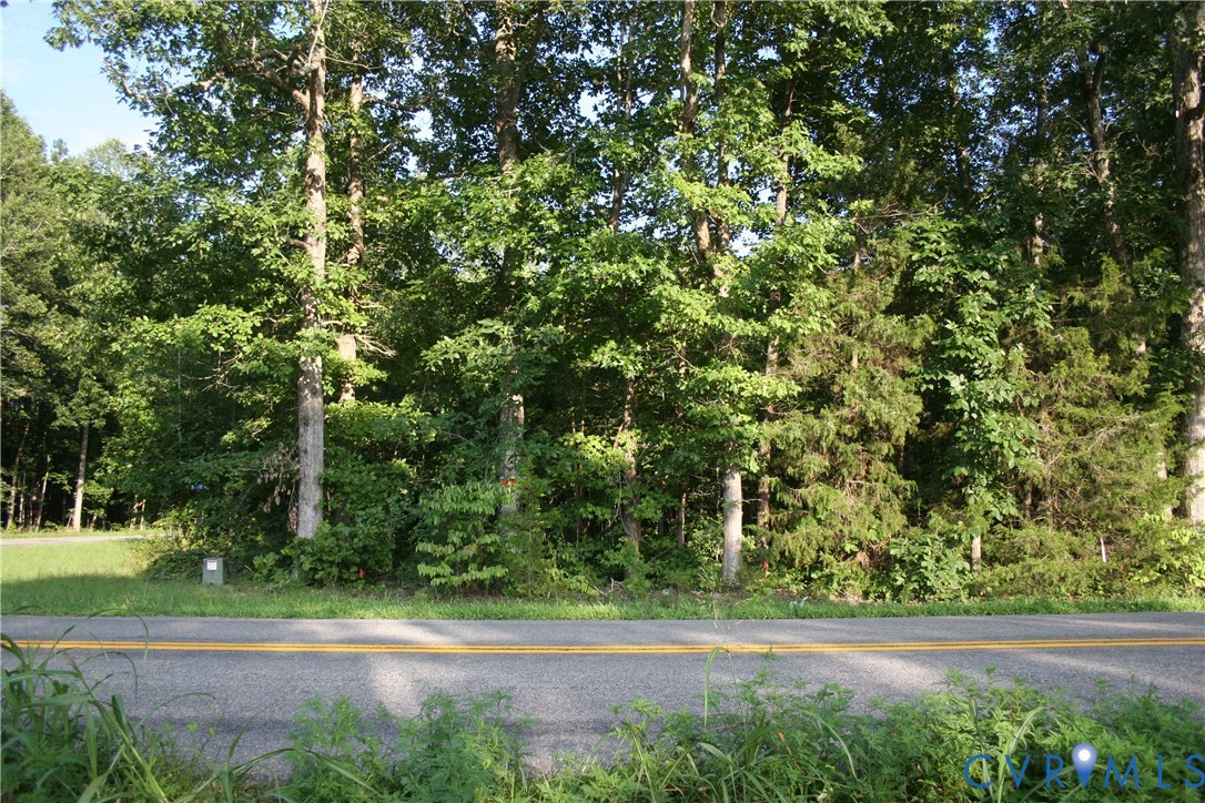 0 Pace Road Goochland, VA 23063 - Photo 2 of 11 a view of a yard with a tree