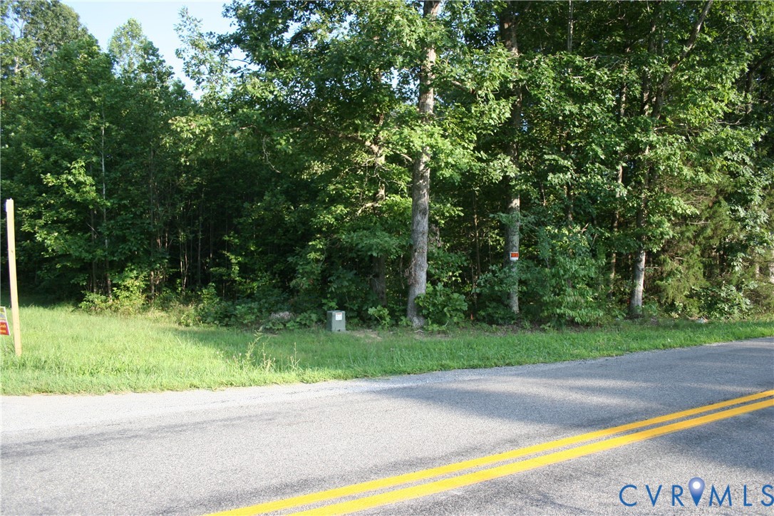 0 Pace Road Goochland, VA 23063 - Photo 3 of 11 a view of a yard