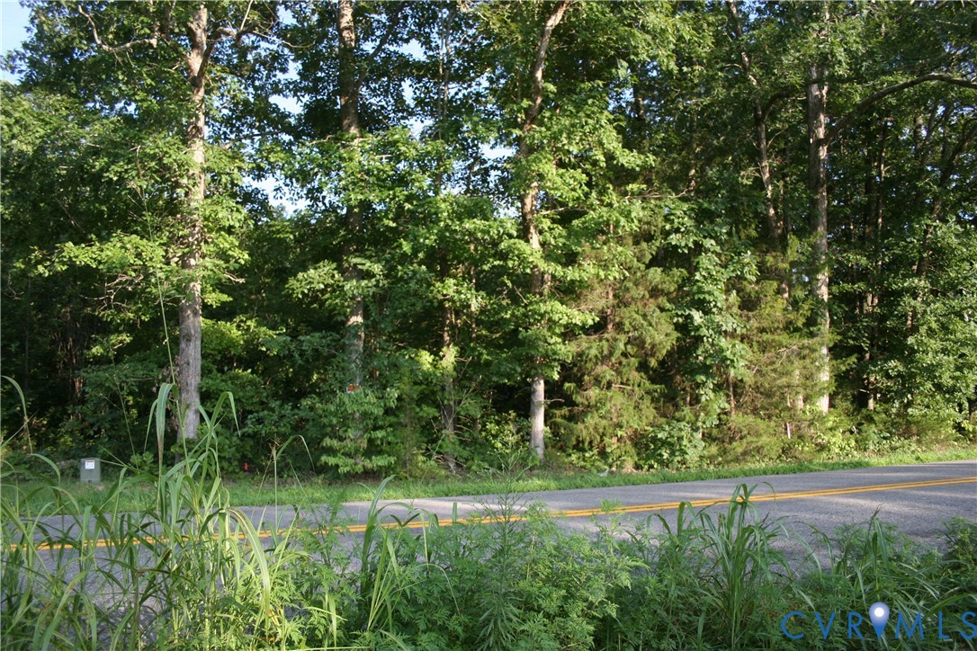 0 Pace Road Goochland, VA 23063 - Photo 4 of 11 a view of yard with green space
