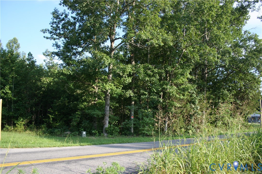0 Pace Road Goochland, VA 23063 - Photo 5 of 11 a view of a yard with a tree